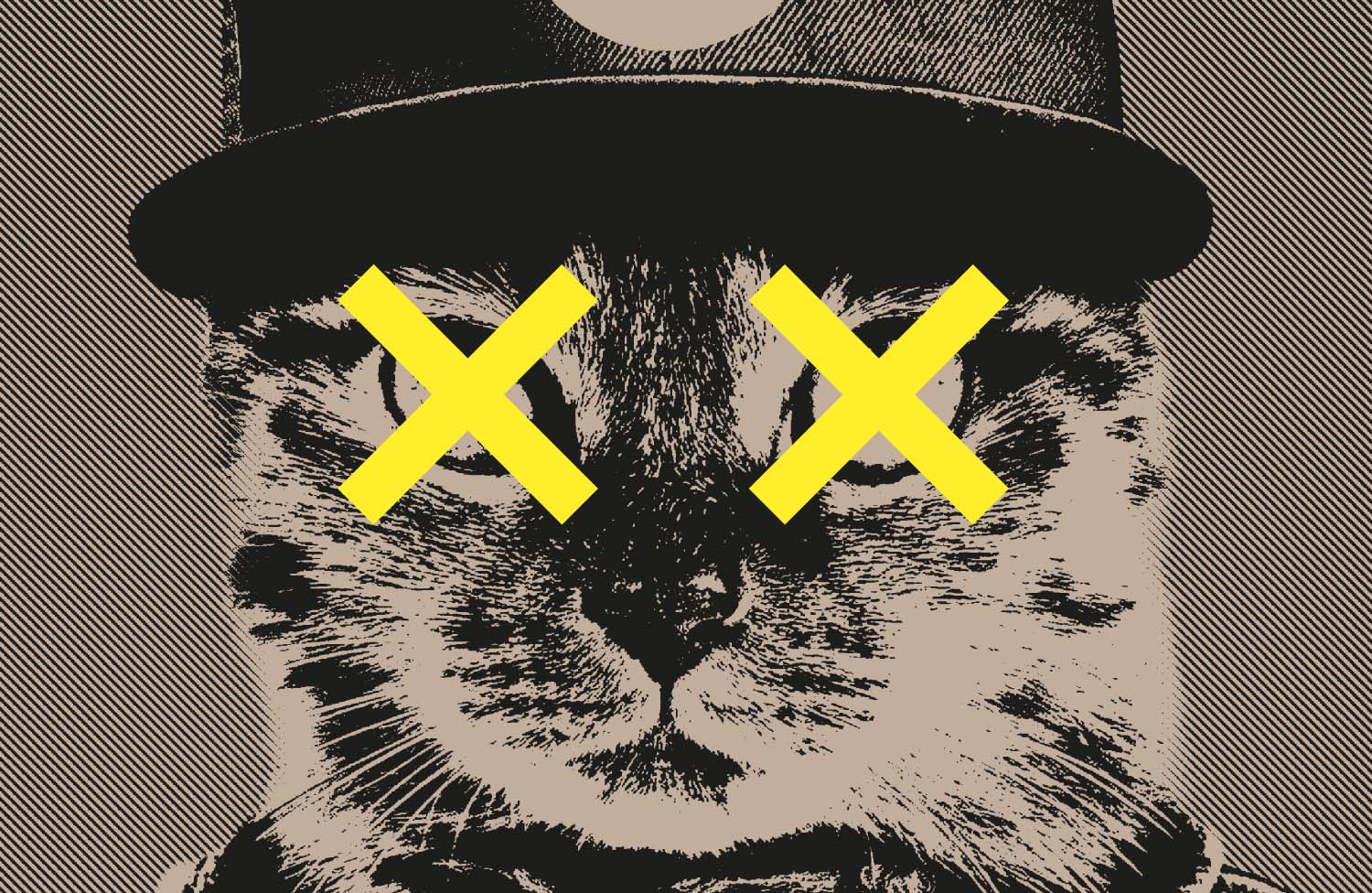Kill The Cat